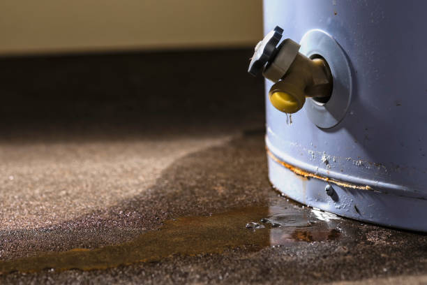 Best Water damage restoration experts  in Fairfield Plantation, GA