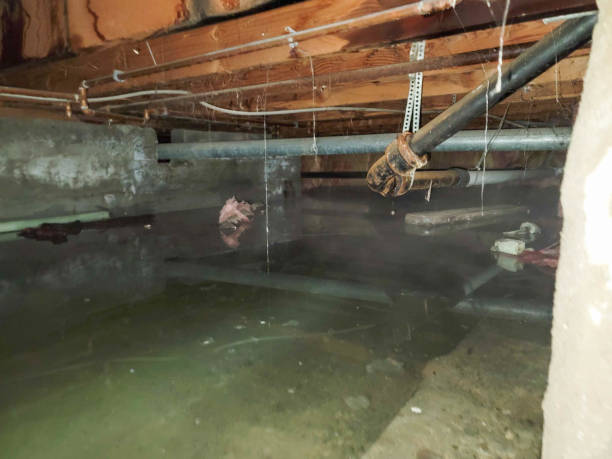 Best Water damage restoration near me  in Fairfield Plantation, GA