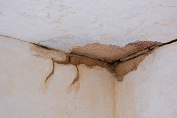 Best Flood damage cleanup  in Fairfield Plantation, GA