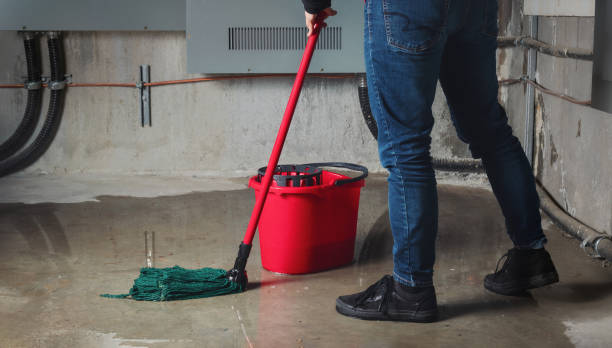Best Water damage restoration near me  in Fairfield Plantation, GA