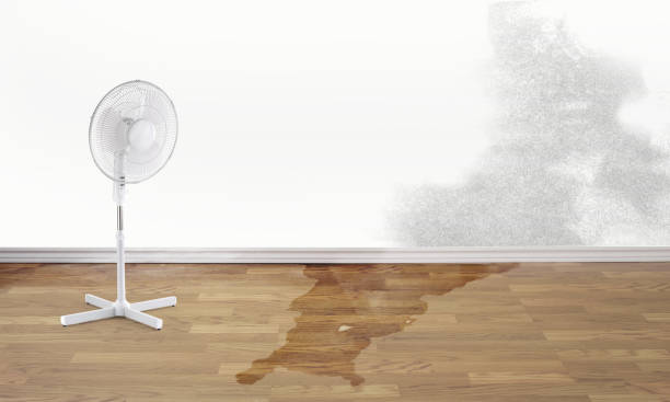 Best Commercial water damage restoration  in Fairfield Plantation, GA