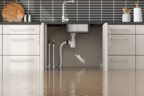 Best Basement water damage restoration  in Fairfield Plantation, GA