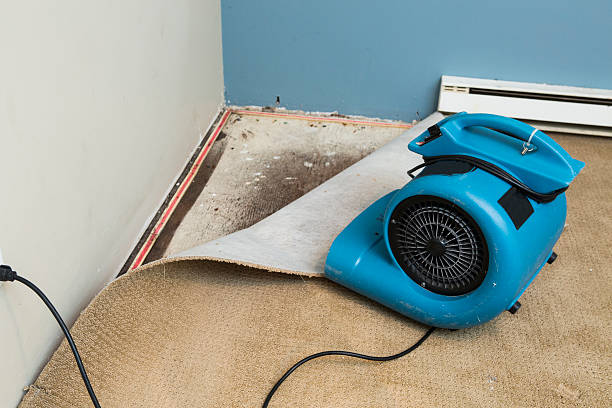  Fairfield Plantation, GA Water damage restoration Pros